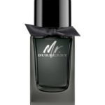 Mr. Burberry Eau de Parfum For Men, 100 mlMr. Burberry Eau de Parfum For Men, 100 ml
