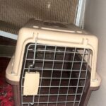 Jet Box Pet Carrier for Cat & Puppy